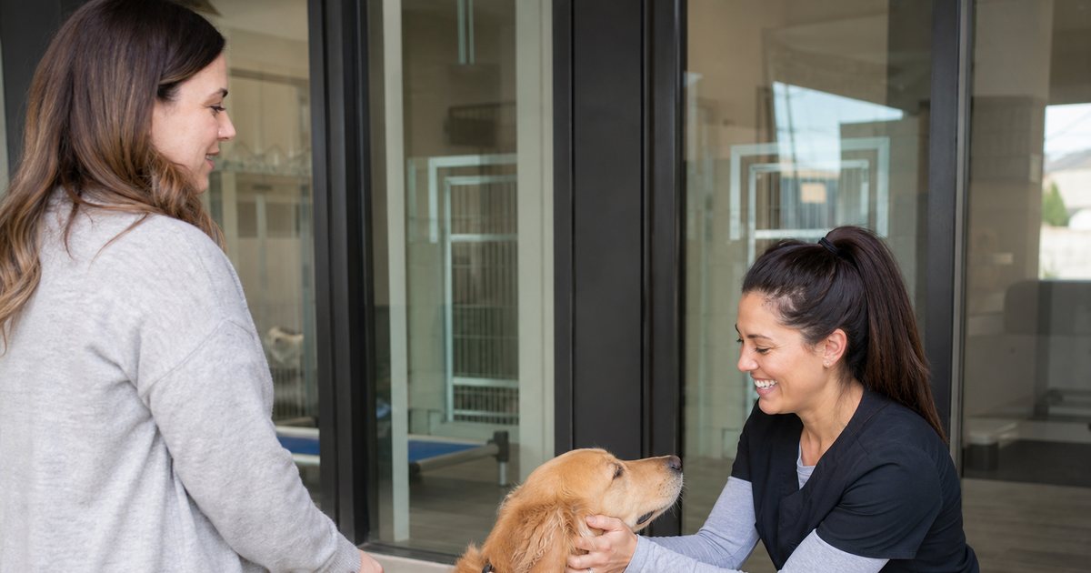 What Vaccination Records Should Boarding Facilities and Groomers Ask Owners to Provide?