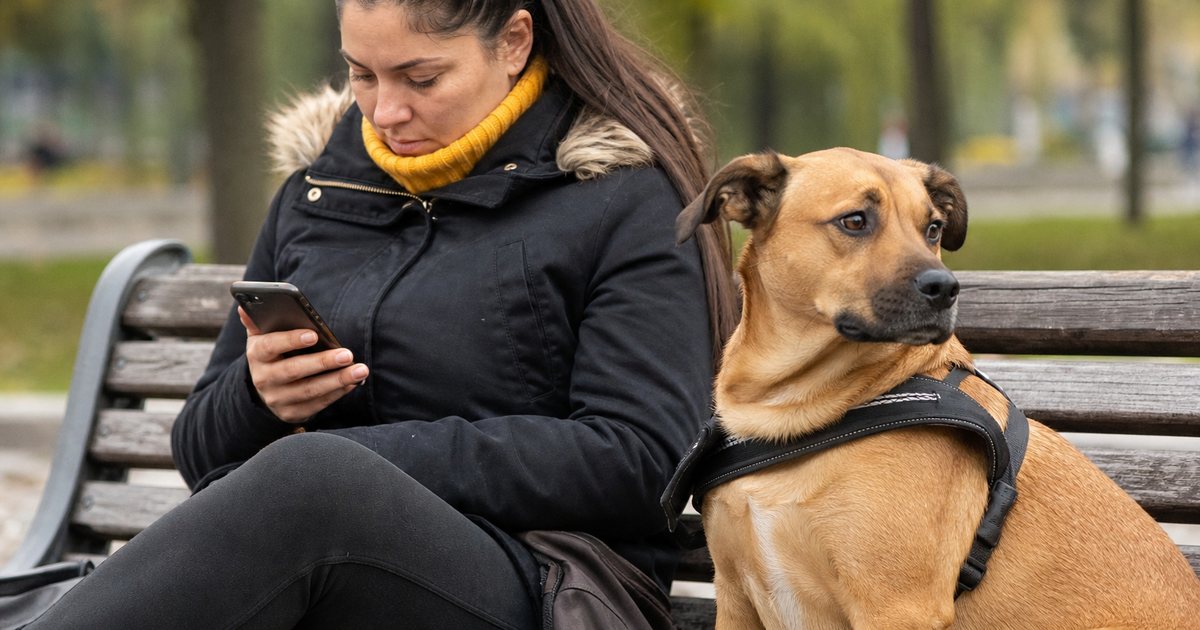 Which Vaccine Reminders Actually Get Pet Owners to Book a Follow Up Visit?